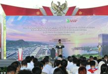 Investasi IWIP Tembus US$ 20 Miliar, Komitmen Lindungi Investor Ditegaskan Kawasan Industri