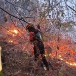 Kalteng dan Sumsel Jadi Fokus, 60 Ribu Personel dan 49 Helikopter Dikerahkan Karhutla