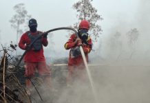 Hotspot Nasional Turun Menjadi 487 Titik, Operasi Karhutla Tetap Berlanjut