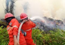 Titik Panas Karhutla Menurun, Kemenhut Tetap Perkuat Pemadaman dan Operasi Udara
