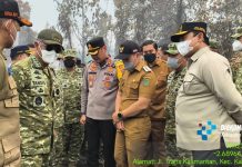BNPB dan Kasad Tinjau Langsung Karhutla di Pulang Pisau, Sinergi Pemadaman Diperkuat