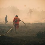 Kemenhut Tingkatkan Pemadaman Karhutla di Tanjung Puting, 26 Kali Water Bombing Dilakukan