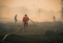Kemenhut Tingkatkan Pemadaman Karhutla di Tanjung Puting, 26 Kali Water Bombing Dilakukan