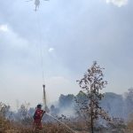 Kemenhut Tegaskan Penanganan Karhutla Terus Berjalan, Personel dan Penegakan Hukum Diperkuat