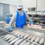 Perikanan Indonesia Makin Produktif, Ekspor dan Kontribusi Ekonomi Menguat