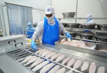 Perikanan Indonesia Makin Produktif, Ekspor dan Kontribusi Ekonomi Menguat