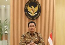 Lansia Bukan Sekadar Tantangan, Kemenkes Lihat Peluang Ekonomi Perak